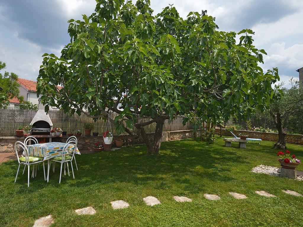 Apartment Vita Porec Room photo